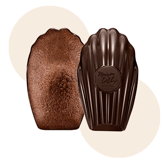 Madeleine Chocolat Coque Chocolat Noir